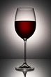 Still-life with the wine glass Still-life with the wine glass