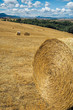 toscana