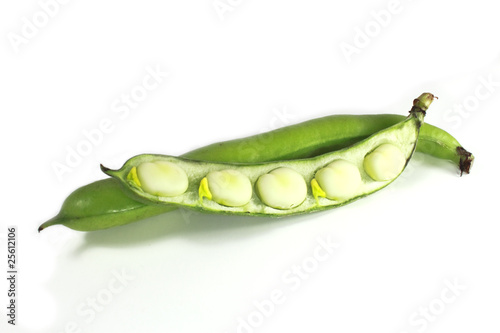 Photo: Broad Bean V4 Broad Bean V4