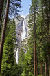 yosemite falls