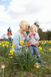 Family On Easter Egg Hunt In Daffodil Field Family On Easter Egg Hunt In Daffodil Field