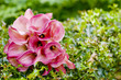 Wedding bouquet details