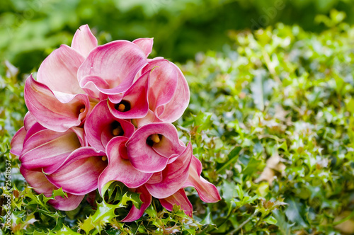 Photo: Wedding bouquet details Wedding bouquet details