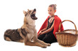 fillette et chien loup fillette et chien loup