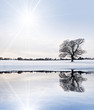 Winter reflection Winter reflection