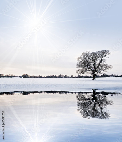 Foto: Winter reflection Winter reflection