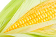 Corn cob Corn cob