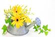 gerbera and sprinkling can