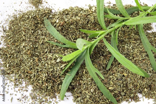  Herbs Plants on Tarragon Dry Herb And Plant    Maria Brzostowska  25626328   See