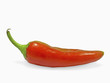 Red chilli pepper