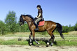 Im leichten Galopp