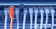 Photo: Red ethernet cables are connected to blue internet switch Red ethernet cables are connected to blue internet switch