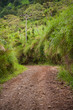 Rugged Road