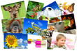 Fotogalerie 6