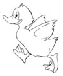 Ente, Gans, Schwan, Entenküken, Küken