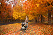 Mother walking with baby in stroller in orange autumn park Mother walking with baby in stroller in orange autumn park