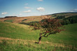 Lancashire