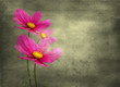 grunge background