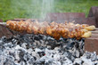 Grillspieße II