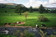 Lancashire