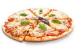 sliced cheese pizza