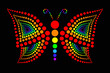 Colorful butterfly