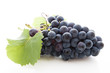Grappe de raisin noir