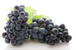 Grappe de raisin noir