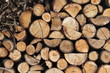rondins et brindilles de bois