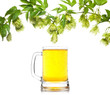 beer mug with hop border isolated on white beer mug with hop border isolated on white