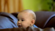 happy little baby happy little baby