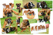 Fotogalerie 38 Fotogalerie 38