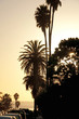la jolla silhouette at dusk