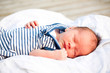 Photo: newborn sailor newborn sailor