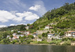 Banks of the Douro River Banks of the Douro River