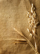 Wheat Ears on Burlap background.Country Style.With copy-space