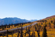 Fall Road Into Mountains