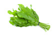 Garden sorrel Garden sorrel