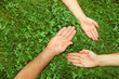 Three hands in grass