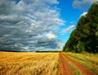 Road