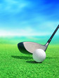 golf ball on course