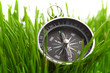 compass in green grass compass in green grass
