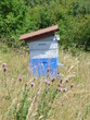 Ruche en été Ruche en été