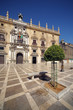 historical building in Granada,  Spain