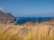 Horizonte canario