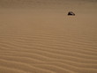 Piedra en el desierto