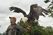 Weisskopfseeadler
