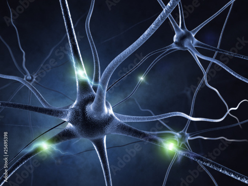 Illustration: active nerve cell in human neural system active nerve cell in human neural system