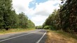new road through wood