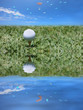 golf ball